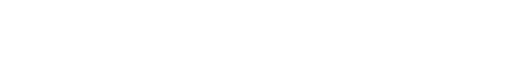 Publinez Logo